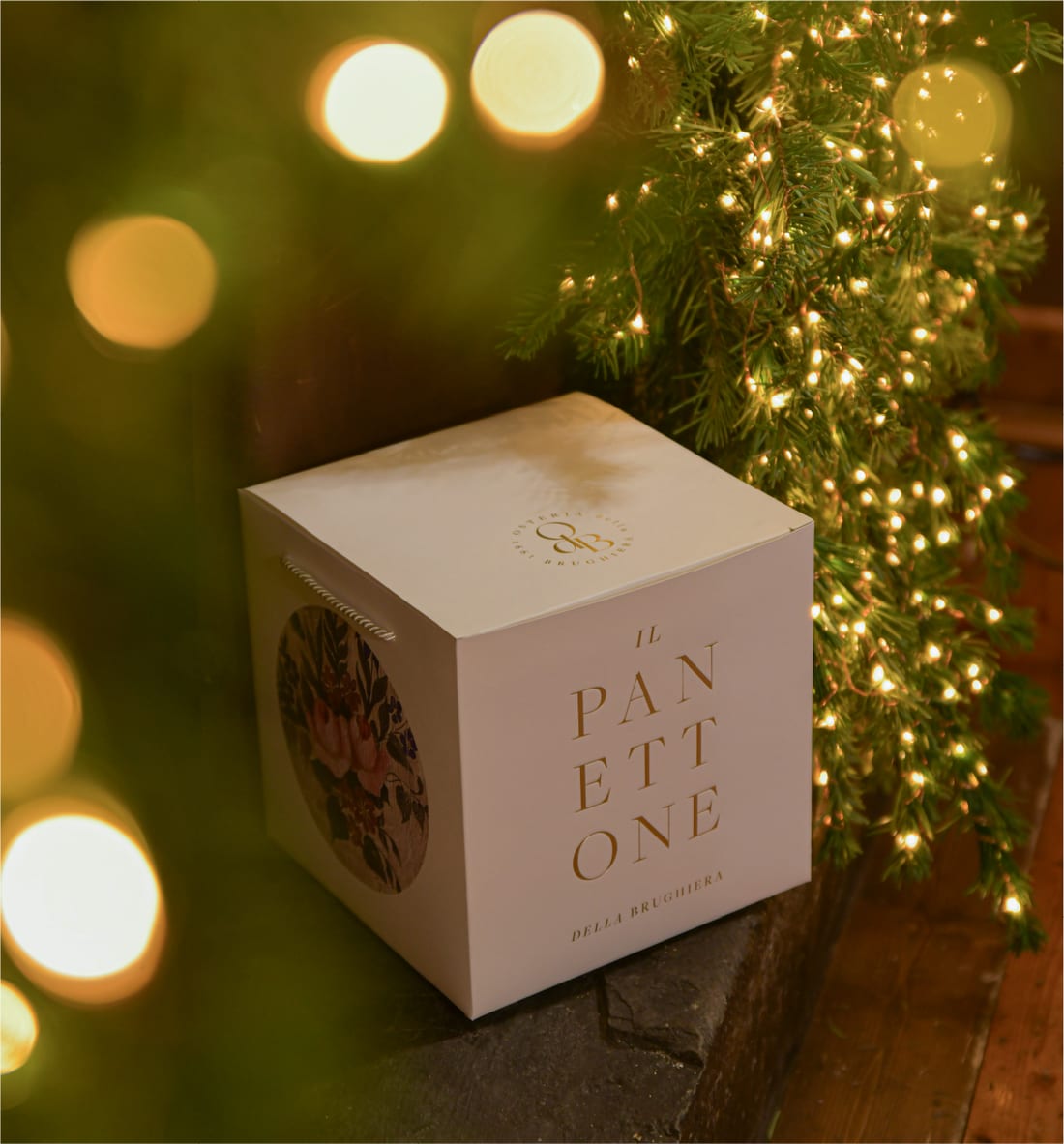 Scatola del Panettone davanti a un abete illuminato