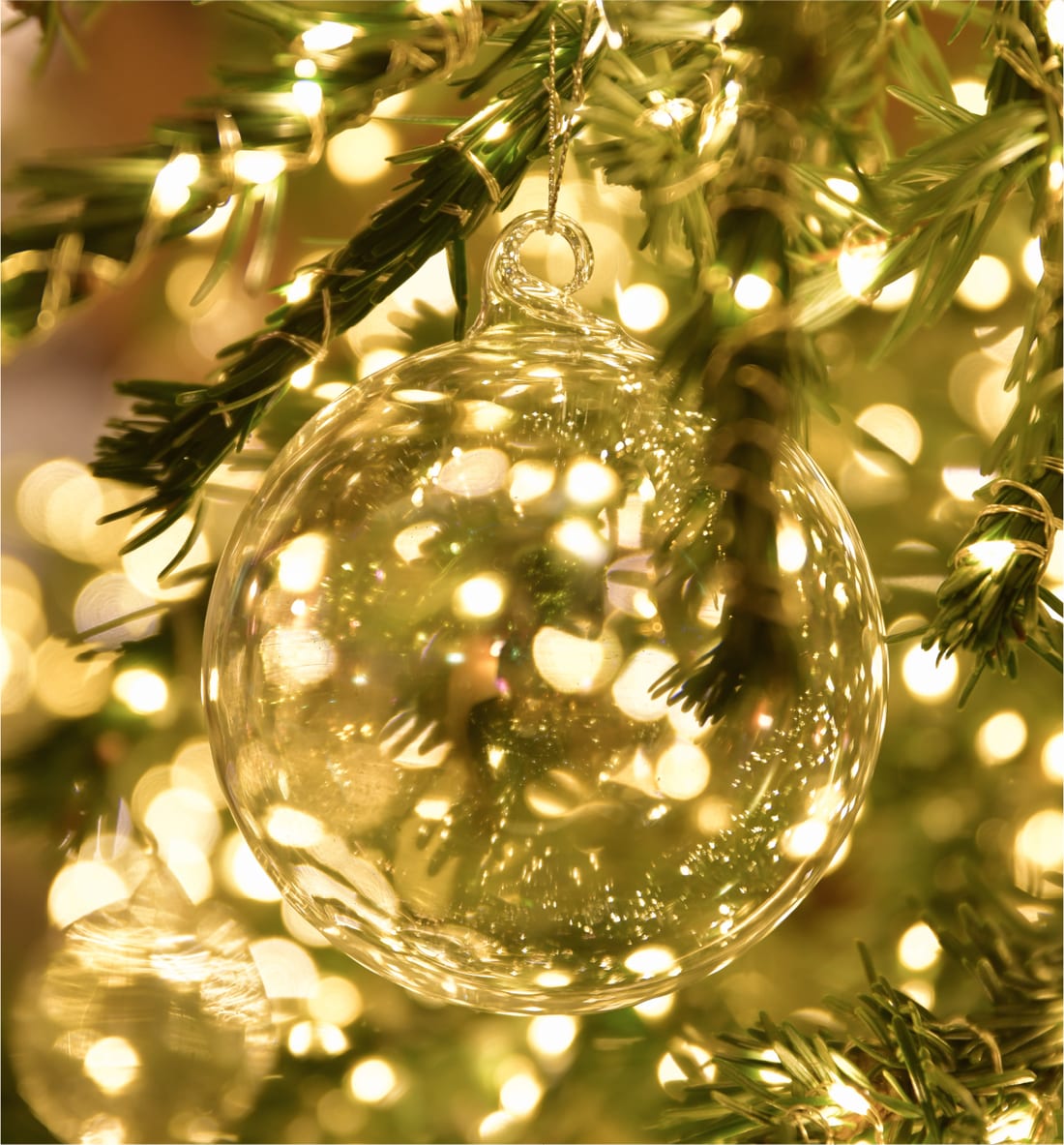 Sfera di vetro appesa a un abete illuminato