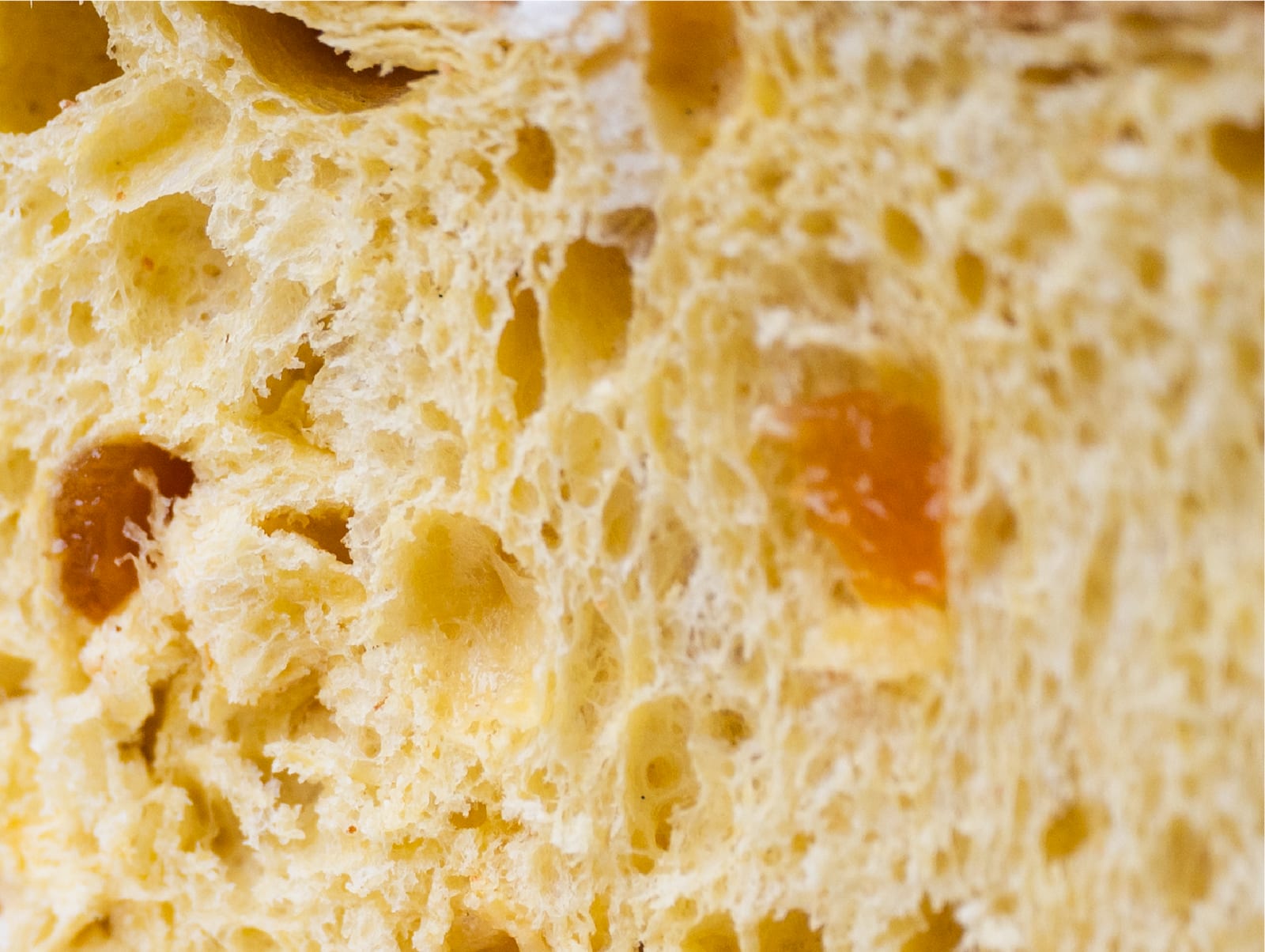 Macro della mollica della Veneziana con albicocche candite